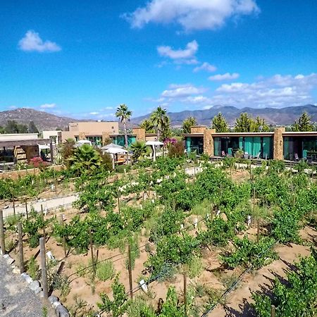 Entre Vinedos By Hotel Boutique Valle De Guadalupe Exteriör bild