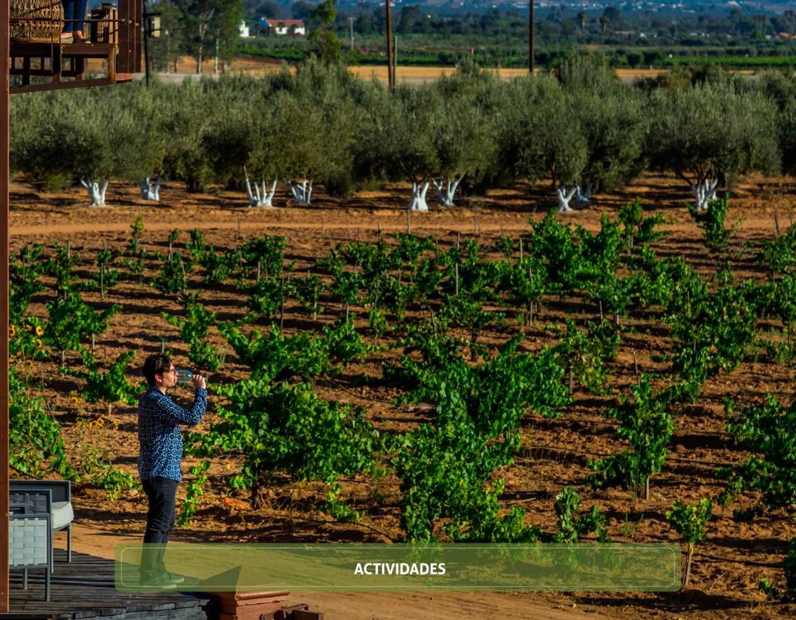 Entre Vinedos By Hotel Boutique Valle De Guadalupe Exteriör bild