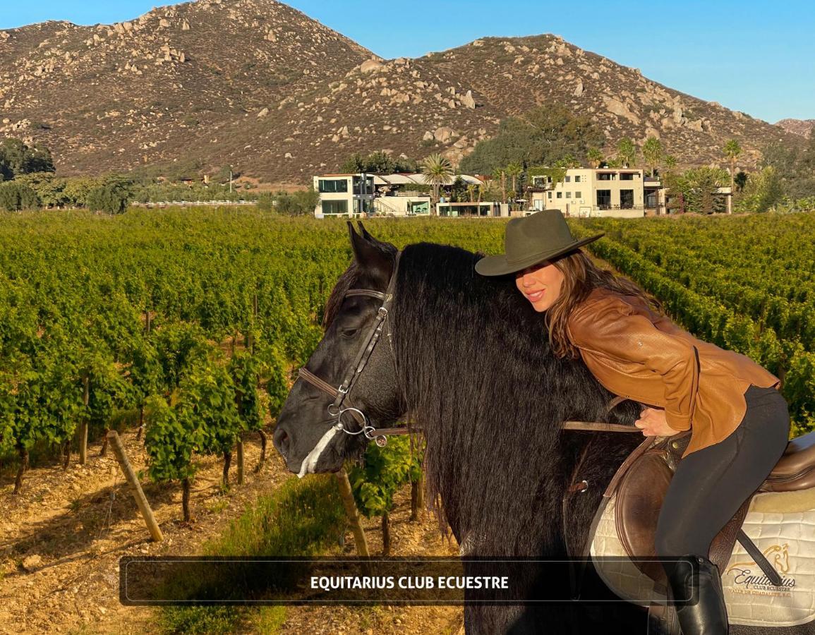 Entre Vinedos By Hotel Boutique Valle De Guadalupe Exteriör bild