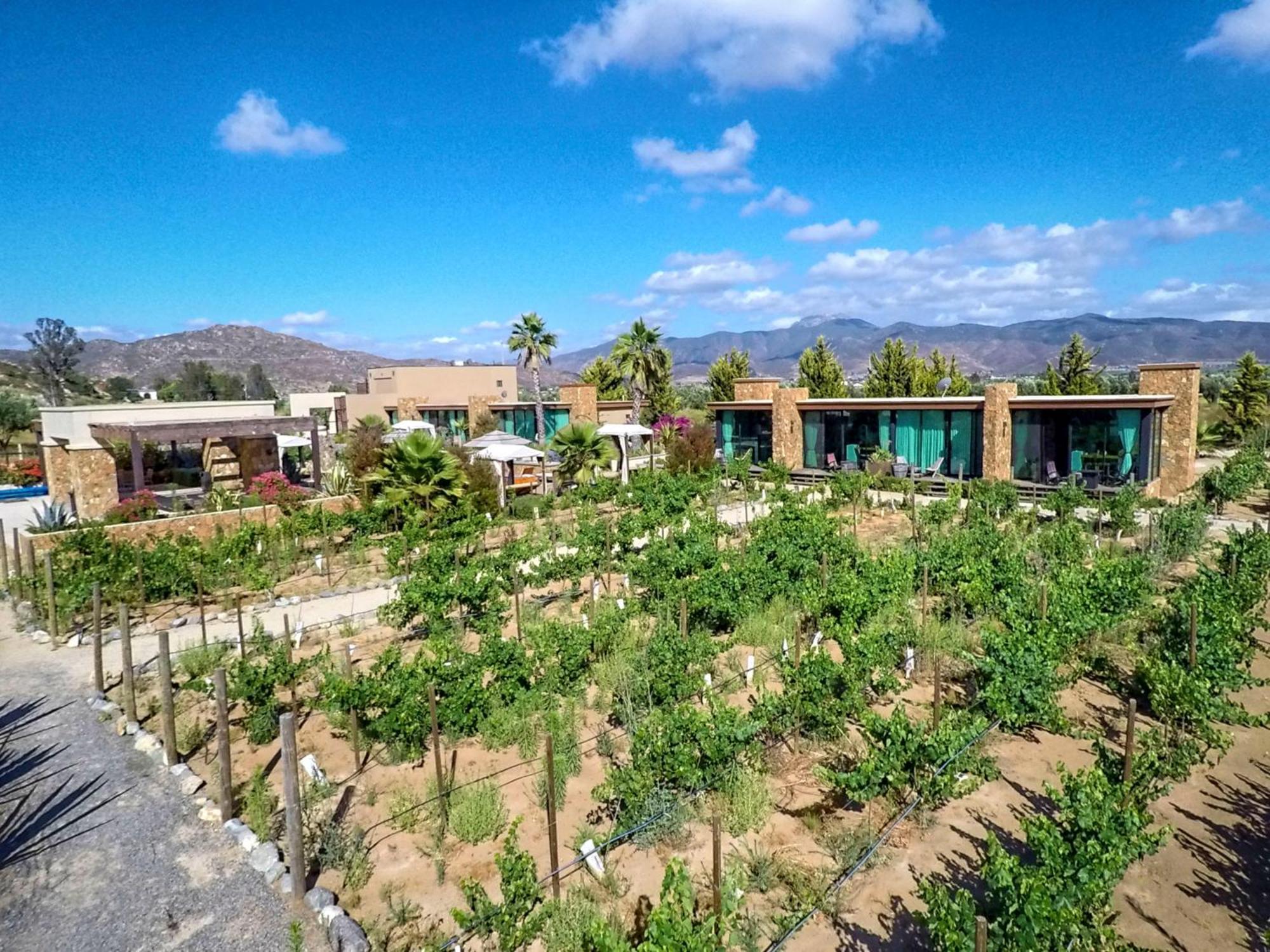 Entre Vinedos By Hotel Boutique Valle De Guadalupe Exteriör bild